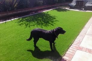 Curb edging artificial turf