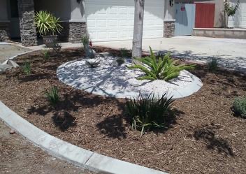 Curb pics — Crazy Curbs curbing