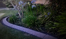 Random rock stamped curb