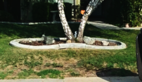 Concrete curbing — Crazy Curbs curbing
